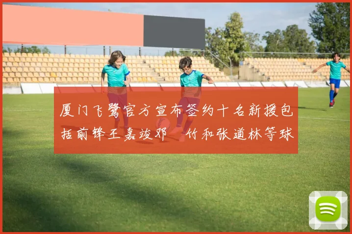 厦门飞鹭官方宣布签约十名新援包括前锋王嘉竣邓棽竹和张道林等球员