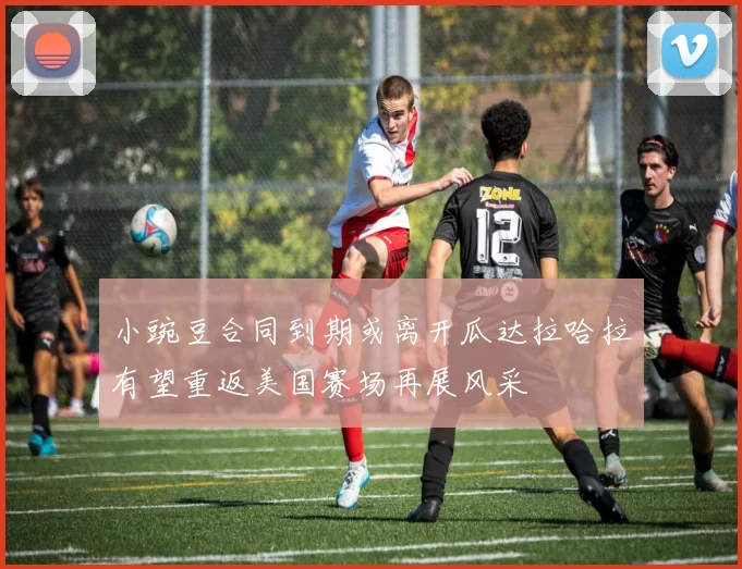 小豌豆合同到期或离开瓜达拉哈拉有望重返美国赛场再展风采